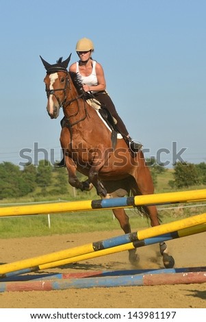 Similar – Image, Stock Photo Show jumper Show jumping