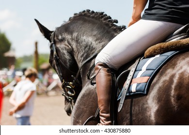 Horse At Show Jumping Competition