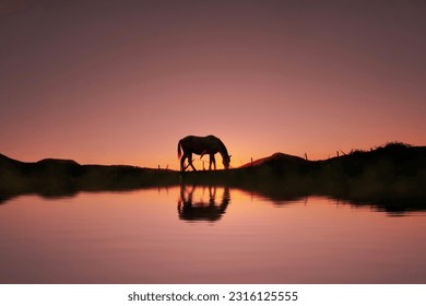 horse silhouette in the countryside and beautiful sunset background - Powered by Shutterstock