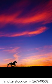  Horse silhouette running under dramatic sunset                              