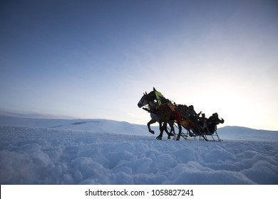 Horse Sleigh Ride