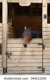 Horse In The Stable Door