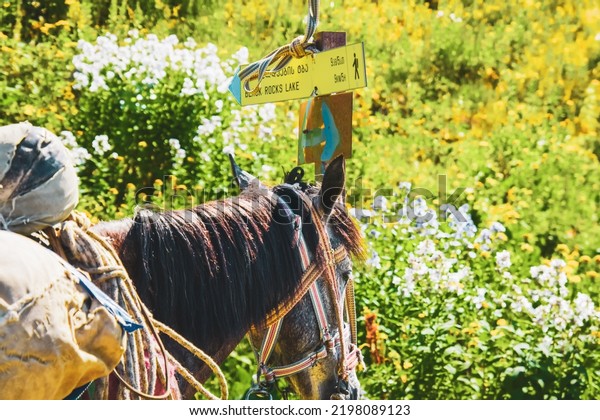 Horse stand by hiking trail\
post sign in Lagodekhi national park. Black rock lake horse ride\
activity