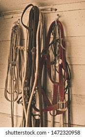 Horse Tack Room Bits And Harnesses