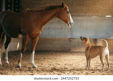 A horse and a Thai Ridgeback dog engage in a quiet exchange, in a stable bathed in natural light. This profound moment captures the essence of interspecies connection - Powered by Shutterstock