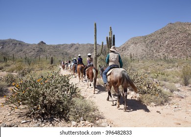 Horse Tour, Guided Horseback Riding, In The Sonoran Desert Outside Of Phoenix, Arizona With Saguaro Cacti In Spring