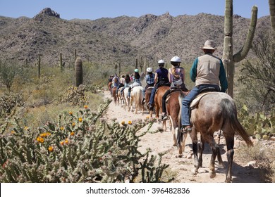 Horse Tour, Guided Horseback Riding, In The Sonoran Desert Outside Of Phoenix, Arizona With Saguaro Cacti In Spring