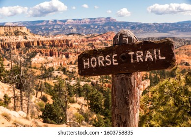 Horse Trail In Bryce Canyon National Park