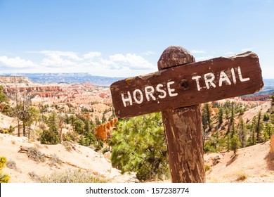 Horse Trail Sight At Bryce Canyon, USA