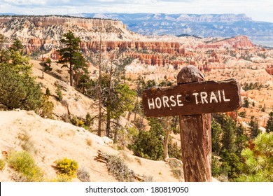 Horse Trail Sight At Bryce Canyon, USA