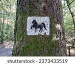 Horse trail sign in a forest.