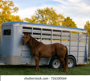 Horse And Trailer