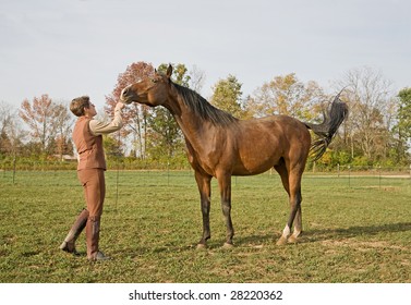 Horse With Trainer