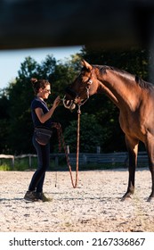 Horse Training On Lunge In The Paddock. With Female Trainer. Natural Horsemanship. 