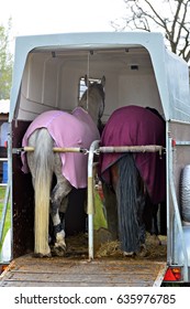 Horse transport