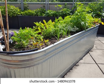 A horse trough being used as a creative outdoor planter in a rooftop garden. - Shutterstock ID 1480961078