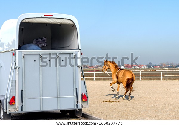 horse vehicle .  Carriage for horses .
Auto trailer for transportation of horses . transportation
livestock . Horse transportation van , equestrian
sport