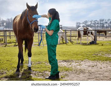 Horse, vet and stroke on farm for health, examination and leg injury of stallion at ranch. Appointment, animal or woman doctor in countryside for check up, inspection or consultation for pet wellness - Powered by Shutterstock