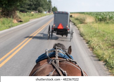 Horse Wagon Buggy In Lancaster Pennsylvania Amish Country 