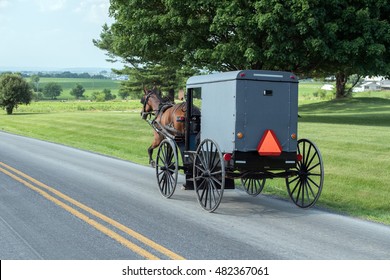 Horse Wagon Buggy In Lancaster Pennsylvania Amish Country 