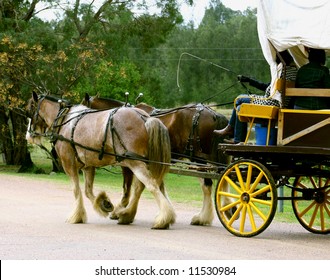 Horse And Wagon Ride, Hunter Valley, Australia