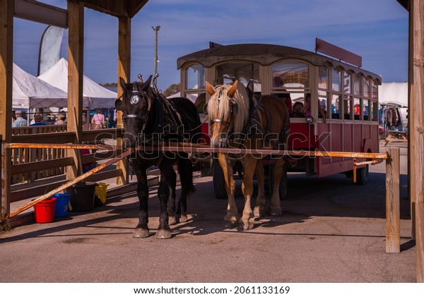 Horse walking car.\
Vintage transport. Attraction. Carriage with two horses. Old tram\
with passengers