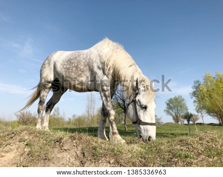 Similar – Image, Stock Photo Moldy Environment Nature