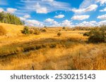 A horse walks near Pine Creek and the historic Railway Bridge, at the site of the Steptoe Battle of 1858, in the Palouse region of Rosalia, Washington.