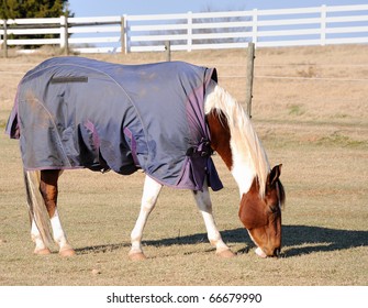 A horse wearing a rug for warmth during the winter season.