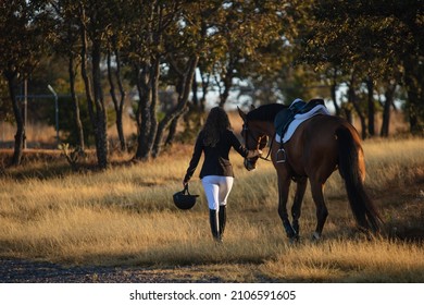 Horse and woman walking away in a sunny morning - Powered by Shutterstock