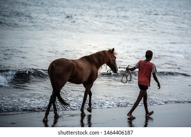 Horse and young boy on sand beach running near water at sunset - Powered by Shutterstock