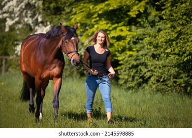 121,399 Stallion Meadow Images, Stock Photos & Vectors | Shutterstock