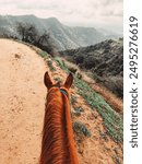 Horseback Ride in Los Angeles, California 