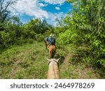 Horseback riders explore lush trails in Casanare, Colombia under a clear sky