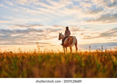 Horseback riding across the meadow during sunset time  - Powered by Shutterstock