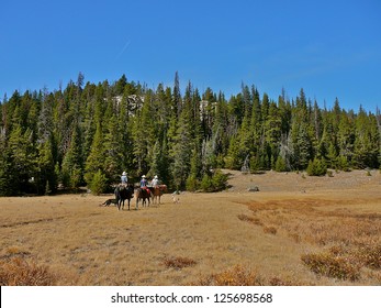 Horseback Riding In Big Horn Mountains, Wyoming