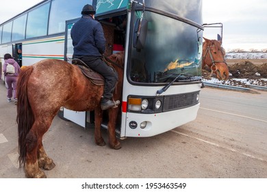Horseback riding, collage with a horse. Horse enters the bus, with a long neck like a giraffe.