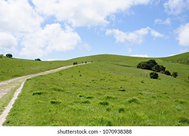 Horseback Riding In Contra Costa County