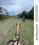 Horseback riding in Costa Rica