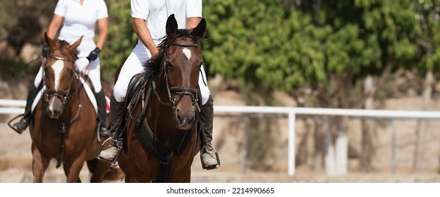 Horseback riding, equestrian young couple is riding a horse - Powered by Shutterstock