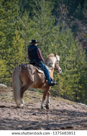Horseback riding in forest