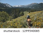 Horseback riding in the Grand Teton Mountain Range