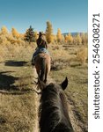 Horseback Riding in The Grand Tetons