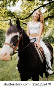 Horseback Riding Lessons For Beginners