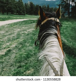 Horseback Riding. Ride On The Horse. POV Shot View