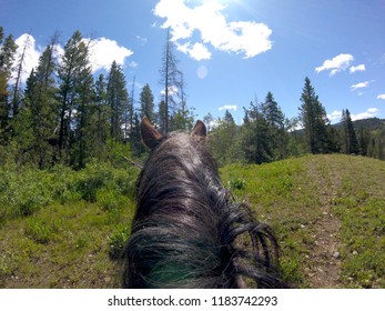 Horseback Riding Wyoming