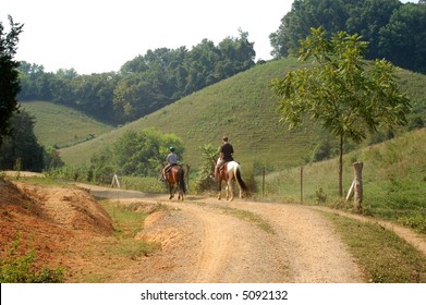 Horseback Trail Ride In The Mountains