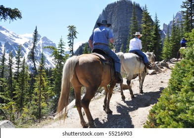 Horseback Trail Riding In Lake Louise Area, Canada