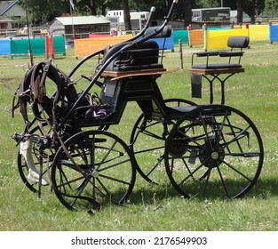 A Horsecar Is Waiting For A Horse