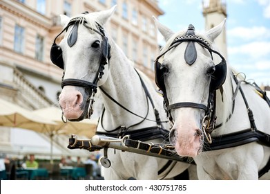 Horse-drawn carriage (Fiacre) waiting for a tourists in the old city in Vienna, Austria